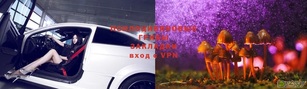 дурь Россошь