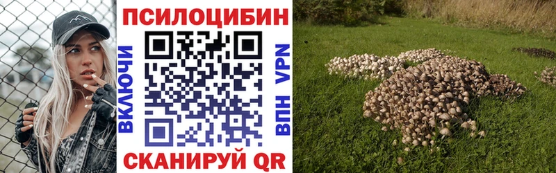 Псилоцибиновые грибы Magic Shrooms  где продают   Чкаловск 